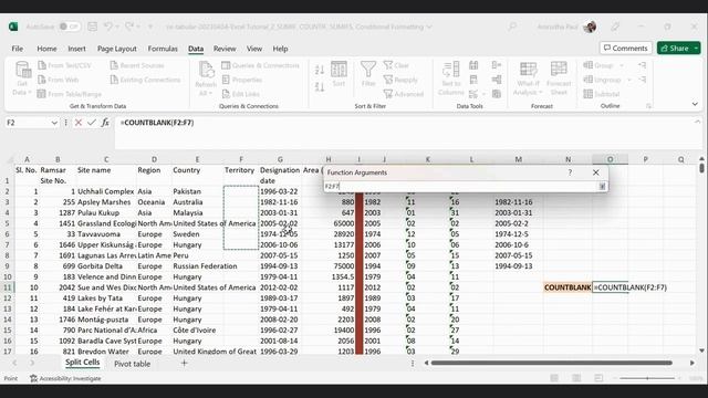Excel Tutorial (Part 3): Split Cells, COUNTBLANK, Pivot Table смотреть онлайн