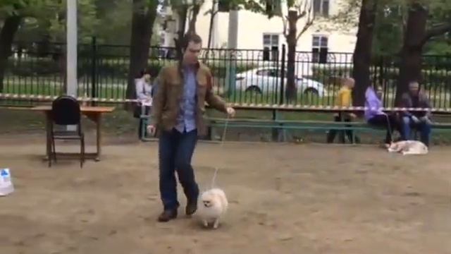 Джой на выставке смотреть онлайн