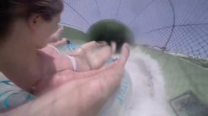 Путешествие по ОАЭ (Дубаи и Абу Даби)