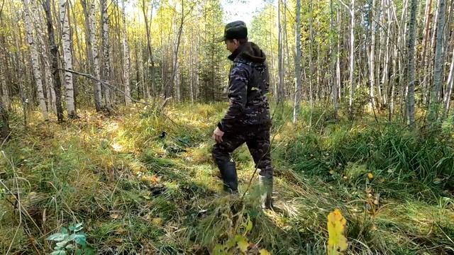Я НАДЕЯЛСЯ ДО ПОСЛЕДНЕГО! Как не заблудится в делянках. смотреть онлайн