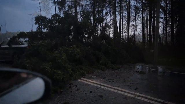 Дерево упало на машину смотреть онлайн