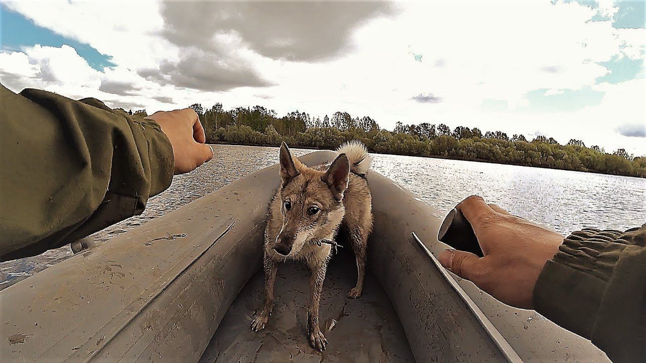ЗА НЕДЕЛЮ ДО ПРОКЛЯТОЙ ЭКСПЕДИЦИИ. ИЮНЬ. смотреть онлайн