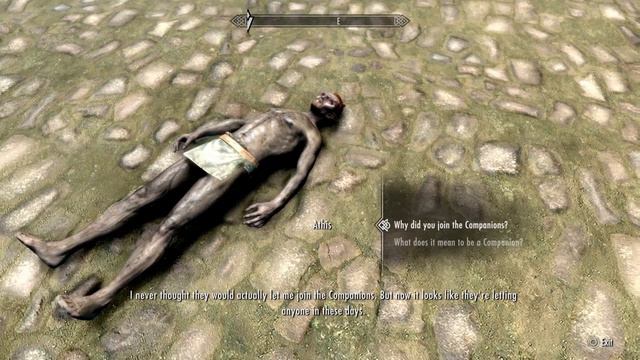 I never thought they would actually let me join the companions смотреть онлайн