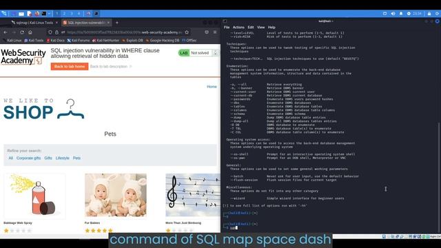 SQL Injection Vulnerability - PortSwigger Lab Walkthrough NOSU смотреть онлайн