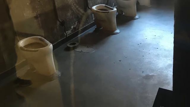 IN MEMORIA DI AUSCHWITZ