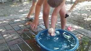 детишки играют ?19 июня 2022