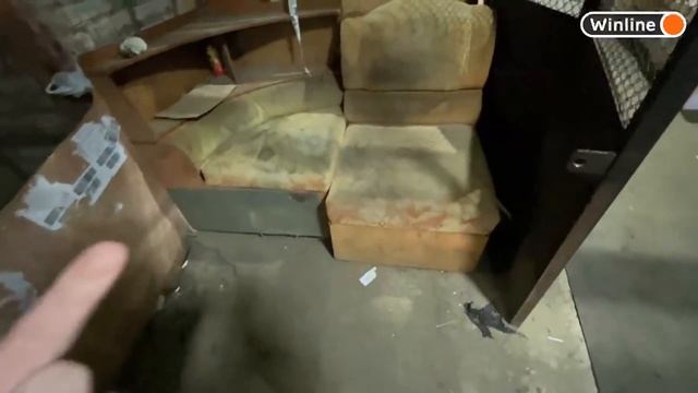 КУПИЛИ МАШИНЫ для КАРТИНГА / Кореш, Парадеевич и PLOHOYPAREN смотреть онлайн