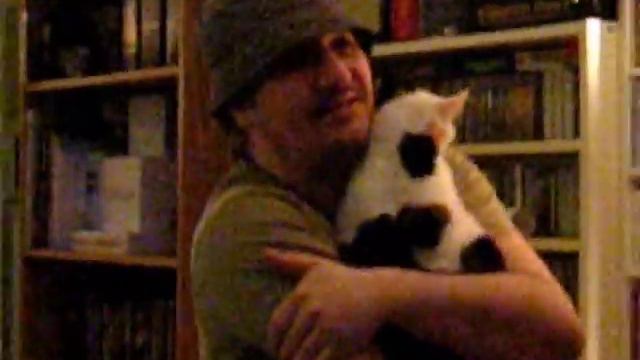 The Almost Famous - Cat Song No 1 смотреть онлайн