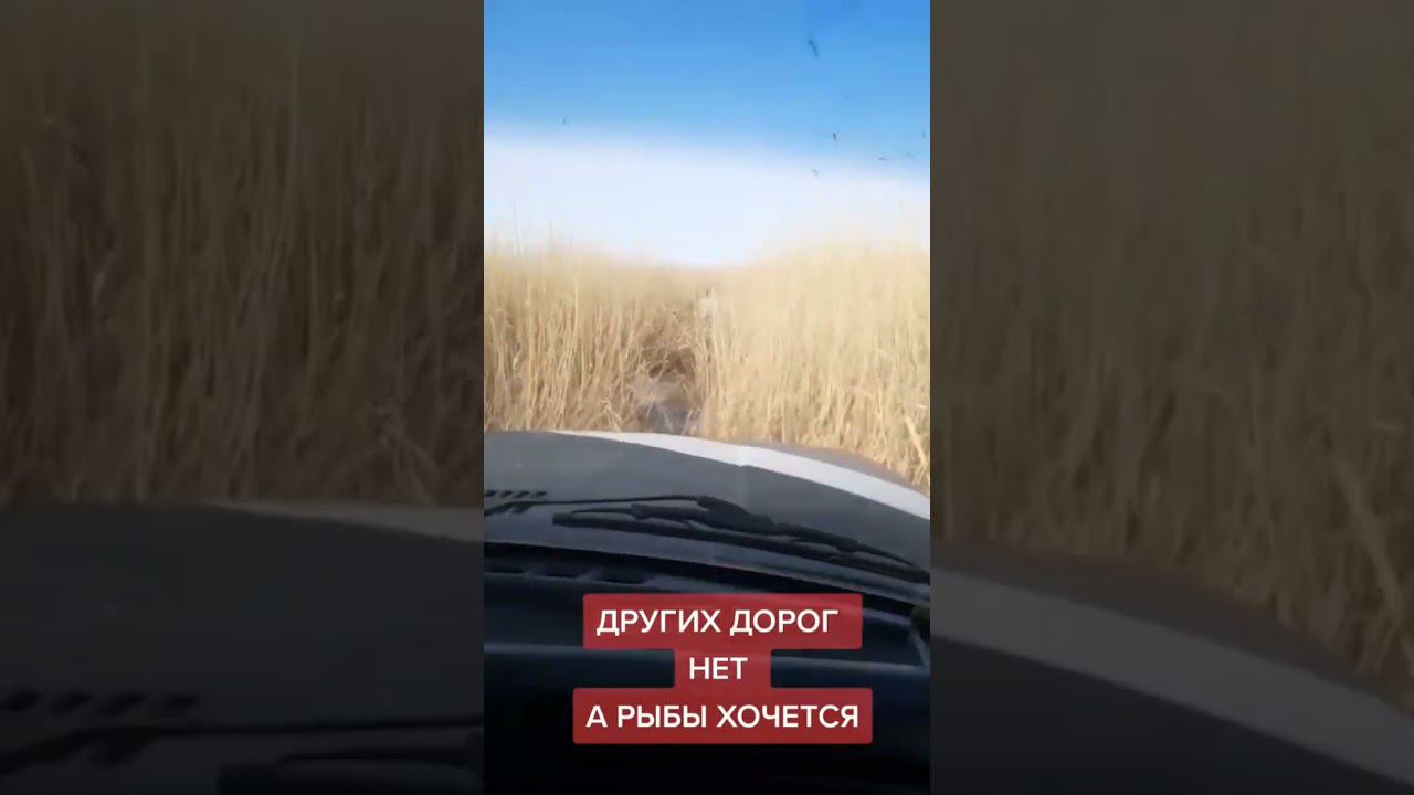 Дорога за рыбкой смотреть онлайн