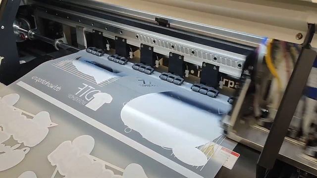 Веб-разработка и анимация