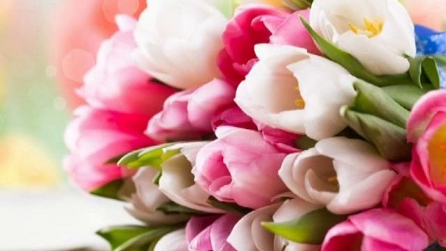 Самое красивое поздравление с 8 МАРТА для самых красивых женщин! Красивая видео открытка. смотреть онлайн