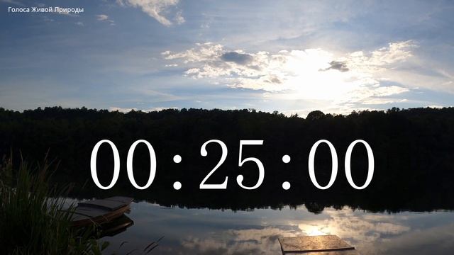 Обратный отсчет Таймер 50 минут. Звуки живой природы / Countdown. Timer 50 min. #ГолосаЖивойПрироды смотреть онлайн