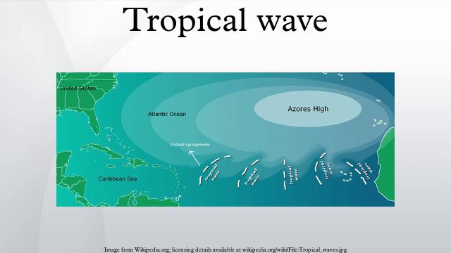Tropical wave смотреть онлайн
