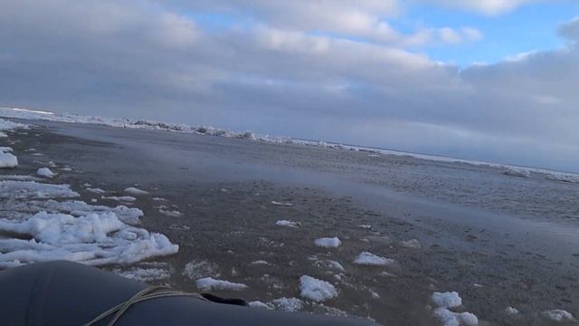 На охоту на морского зверя . День первый. смотреть онлайн