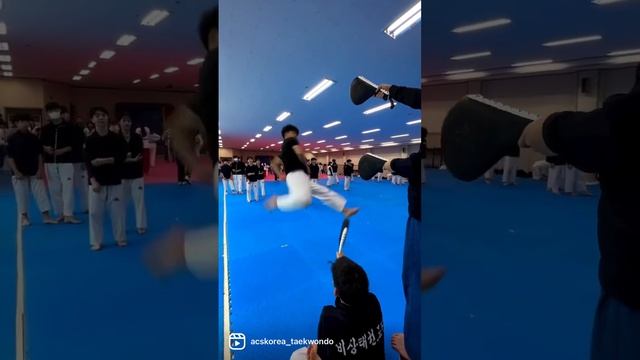 TEAM ADIDAS TAEKWONDO AMBASSADOR BISANG #teamadidas #acskorea #acskorea_taekwondo смотреть онлайн