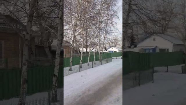 Зима в Макене - целый ряд берёз, ёлочка, сосна, рябина у дома №3 на улице Узловая в ноябре 2021 год смотреть онлайн