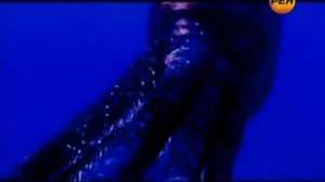 Великие тайны с Игорем Прокопенко  Боги подводных глубин