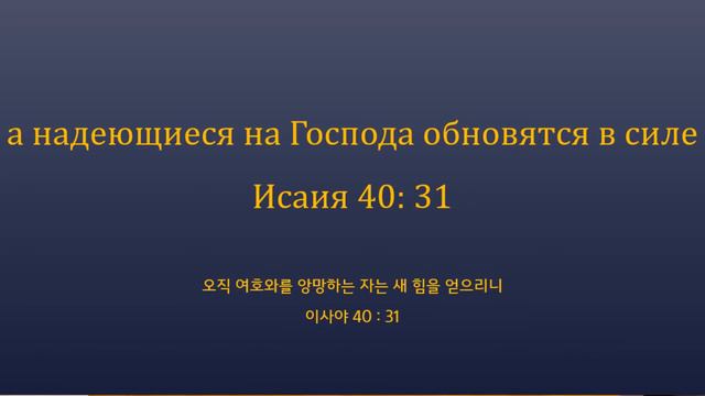 CLF 2020 "Свидетельство об исцелении от укуса скорпиона" Чве Ёхан смотреть онлайн