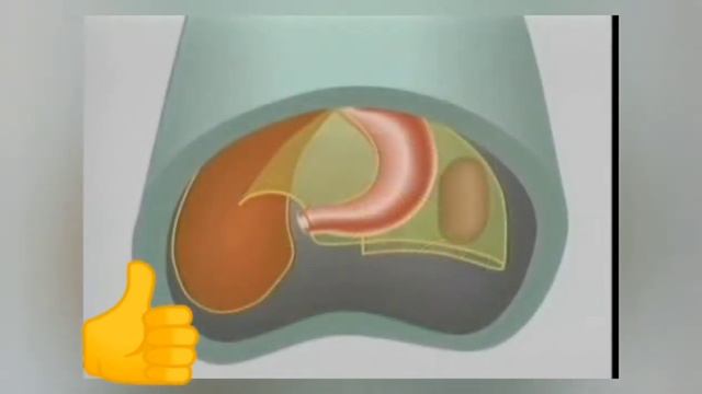 (19) Development of GIT Animation смотреть онлайн