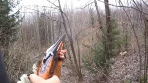 Лучшие выстрелы на охоте по зайцу. Точные выстрелы подборка.