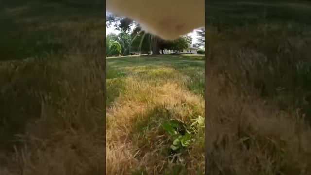 A day in the life of cats! Cats with cameras share their secret lives! @insta360 Go 3 #cat #video смотреть онлайн