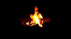 Футаж Костёр в ночном лесу