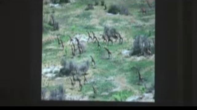 Congressional Staff Briefing: Wildlife of Southern Sudan смотреть онлайн