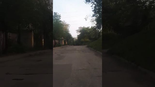 Покатушки на Wels despot 110cc смотреть онлайн