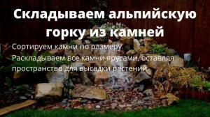 Альпийская горка в вашем саду своими руками