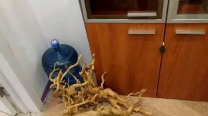 Почему я пропал. Магазин Маши Блюм. Знакомство с родными моей любимой.