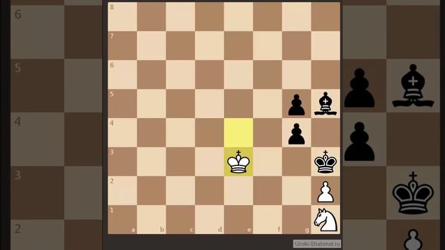 Шахматы. Цугцванг, пат и спасение смотреть онлайн