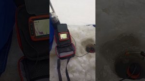 Эхолот Калипсо. Работа неисправного эхолота на второй рыбалке