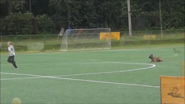 Азарт из Команды Азарт смотреть онлайн