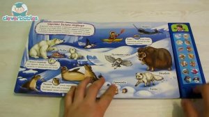 Азбукварик. Арктика и Антарктида. Видео-обзор