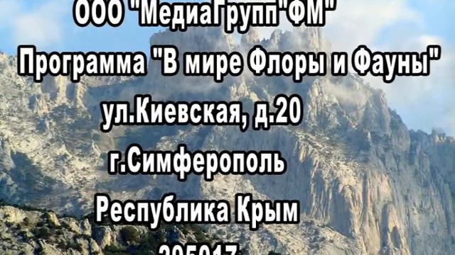 +p s флора и фауна смотреть онлайн