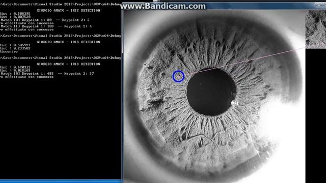 Iris detection OpenCV смотреть онлайн