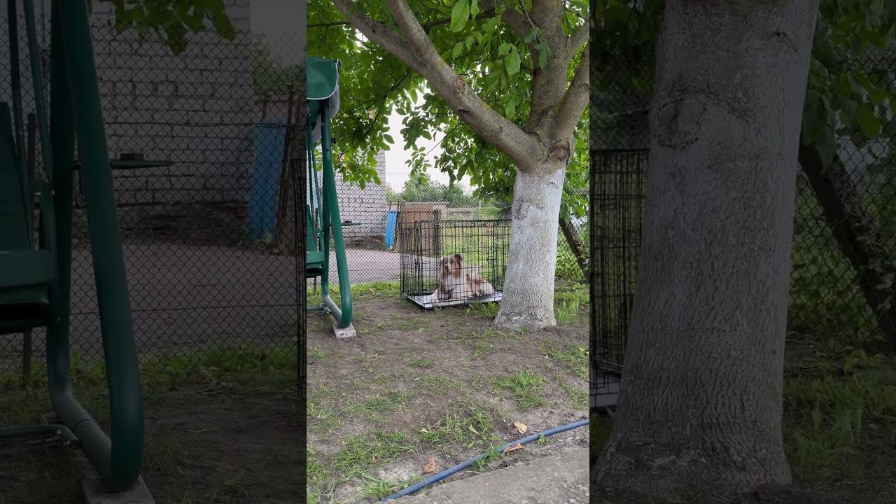 22 августа 2024 г. смотреть онлайн