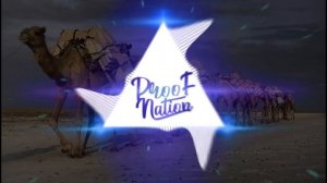 На горе стоит верблюд (PHONK EDITION)