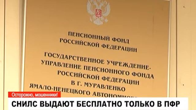 Где получить СНИЛС? смотреть онлайн