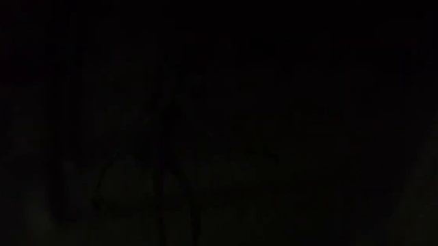 Я СНЯЛ СИРЕНОГОЛОВОГО НА КАМЕРУ НОЧЬЮ!