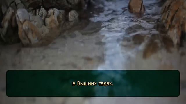 Ахмад аль Анчихи - Сура Покрывающее (Al-Ghashiyah) смотреть онлайн