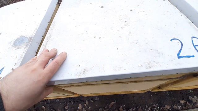 Где пчёлы и что с кормами ??? 28 января 2021г. холодная зимовка смотреть онлайн