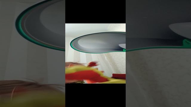 мой новый друг