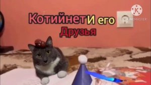 Заставка Kotiynet и его друзья для 2 сезона для @PIPChannels