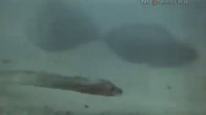 Киножурнал "Хочу всё знать" - Выпуск № 167