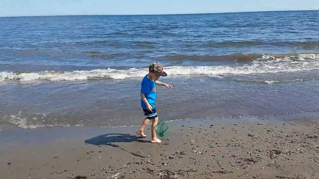 Охотское море, лето. Южно-Сахалинск смотреть онлайн