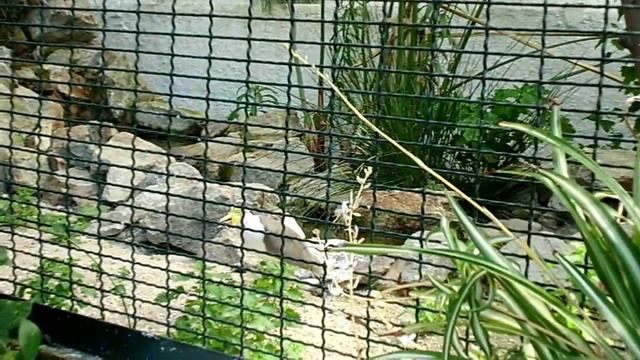 Casio Exilim EX-ZS10 - KeroDicas.com