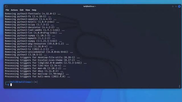 Install Uninstall and auto-remove python from Kali Linux | Ethica смотреть онлайн
