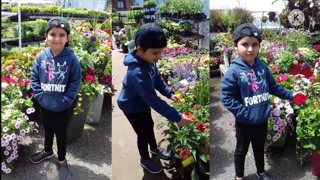 Garden Nursery Tour In Montreal|🇨🇦|Lifestyle DARSH|🔥😀👍 смотреть онлайн