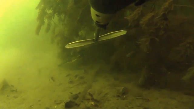 Тридцать лет занимался этой охотой. Подводная охота клип смотреть онлайн